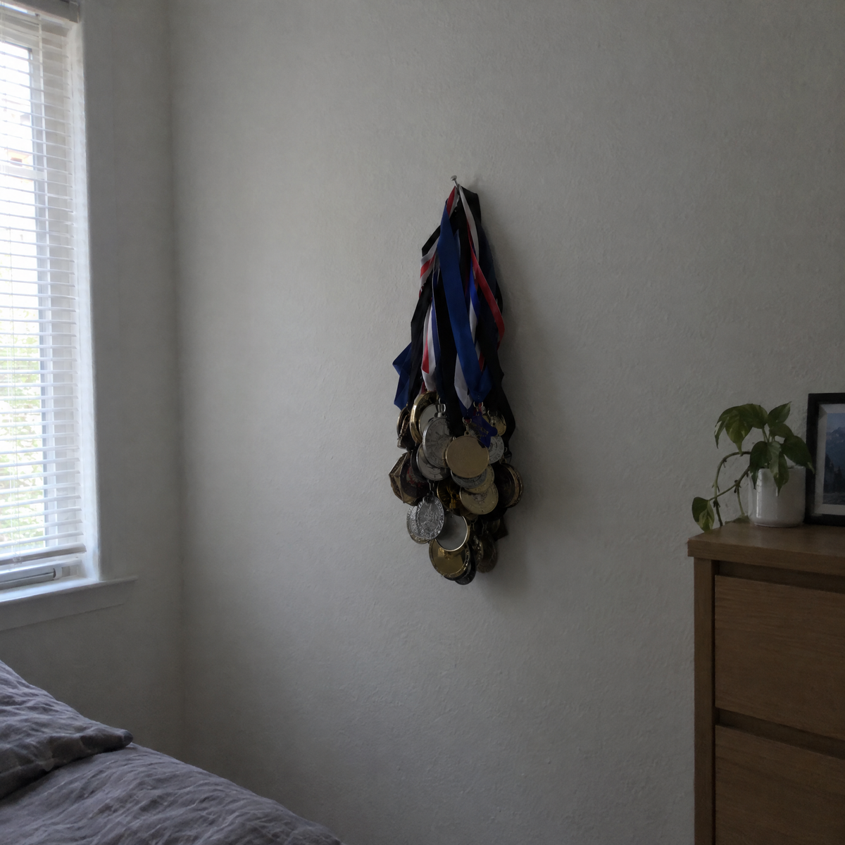 Wood Medal Display for BJJ Winers